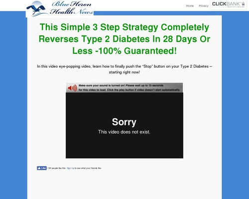 Type 2 Diabetes Strategy sl cb | Blue Heron Health News Honest Review in 2023